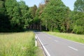 Road throug forest in summer, green trees and meadow, path through deciduous trees, landscape Royalty Free Stock Photo