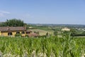 Road to Antignano and San Martino Alfieri, Asti, in Monferrato Royalty Free Stock Photo