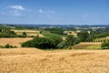 Road to Antignano and San Martino Alfieri, Asti, in Monferrato Royalty Free Stock Photo