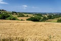 Road to Antignano and San Martino Alfieri, Asti, in Monferrato Royalty Free Stock Photo