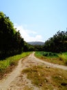 The road to Argopuro Mountain,Jember,East Java,Indonesia Royalty Free Stock Photo