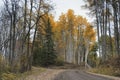 Road to Aspen Yellow Royalty Free Stock Photo