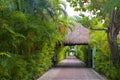 Road to the beach, Mexico