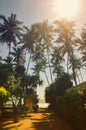 Road to the beach, palm trees and sunshine. Summer vibes concept. S. K. Town, Sri Lanka Royalty Free Stock Photo