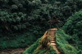 Road to the beautiful wooden Viewpoint in the fresh green forest in Indochina