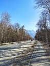 Road to the Caucasus mountains through a pine forest Royalty Free Stock Photo