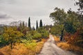 Cemetery in Signagi at autumn