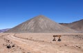The road to Cone of Antofalla at the Salar of Antofalla at the Puna de Atacama, Argentina Royalty Free Stock Photo