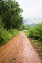 Road to the cornfield entrance. Royalty Free Stock Photo