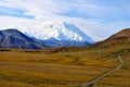 The Road to Denali in Glorious Fall