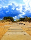 The road to the dunes.