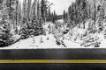 The road to Dunraven Pass on a frosty morning, Yellowstone NP