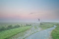 Road to Dutch windmill in morning fog Royalty Free Stock Photo