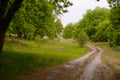 The road to the edge of the forest