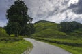 Road to enter the tea plantation area with green leaf covered the hillside