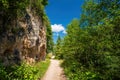 Road to famous Lacul Rosu or Red Lake, Eastern Carpathians, Harghita County, Romania Royalty Free Stock Photo