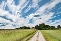 Road to a farm. Beautiful summer village landscape