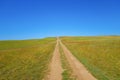 The road to the field goes to the top of the hill. Bright sunny day and cloudless blue sky