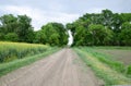 Road to the field. The road passing between the trees. Way through the forest. Symbol Royalty Free Stock Photo