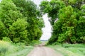 Road to the field. The road passing between the trees. Way through the forest. Symbol Royalty Free Stock Photo