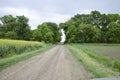 Road to the field. The road passing between the trees. Way through the forest. Symbol of life. Royalty Free Stock Photo