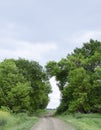 Road to the field. The road passing between the trees. Way through the forest. Symbol of life. Royalty Free Stock Photo