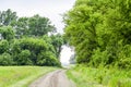 Road to the field. The road passing between the trees. Way through the forest. Symbol of life. Royalty Free Stock Photo