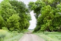 Road to the field. The road passing between the trees. Way through the forest. Symbol of life. Royalty Free Stock Photo