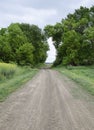 Road to the field. The road passing between the trees. Way through the forest. Symbol of life. Royalty Free Stock Photo