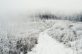 Road to foggy winter forest with snow Royalty Free Stock Photo