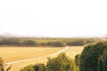 Road to the forest at dawn. Royalty Free Stock Photo