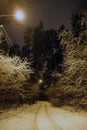 The road to the forest. Winter snow. 1st of January. Street lights. Night, winter Royalty Free Stock Photo