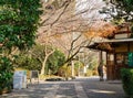 Road to garden in Kinkaku-ji temple, Kyoto, Japan Royalty Free Stock Photo