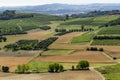 Road to Govone and San Martino Alfieri, Asti, in Monferrato Royalty Free Stock Photo