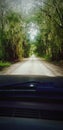 grandpas farm, dirt road, beauty in nature