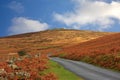 Hameldown, Dartmoor