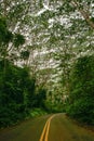 Road to Hana, Maui Hawaii Royalty Free Stock Photo