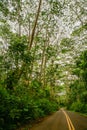 Road to Hana, Maui Hawaii Royalty Free Stock Photo