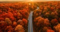 Road to the Heart of Autumn Glow Royalty Free Stock Photo