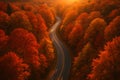Road to the Heart of Autumn Glow Royalty Free Stock Photo