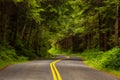 The road to the Hoh Rainforest in Olympic National Park, Washington