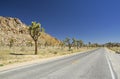 Road to Joshua Tree Royalty Free Stock Photo