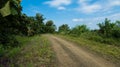 Road to the jungle with greenery and blue sky Royalty Free Stock Photo