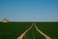 The road to a lonely house in the middle of a green field Royalty Free Stock Photo