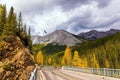 Road to Miette Hot Springs Royalty Free Stock Photo