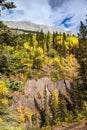 Road to Miette Hot Springs Royalty Free Stock Photo