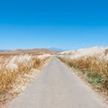 Road to the Mount Etna Royalty Free Stock Photo