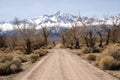 Road to Mt. Whitney Royalty Free Stock Photo