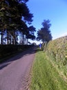 Road to New Etal, Northumberland, England