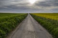 Road to nowhere with crops in fields Royalty Free Stock Photo